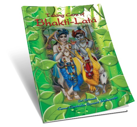 Taking Care of Bhakti-Lata