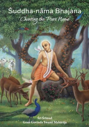 Suddha-nama-bhajan